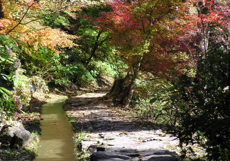 付知峡の紅葉 １０月下旬 １１月上旬 中津川観光協会公式webサイト